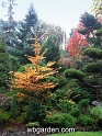 wbgarden autumn 14